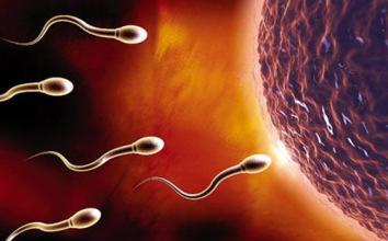 怎么能提高精子成活率