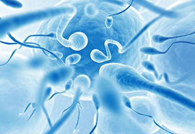 精子成活率低是什么原因呢