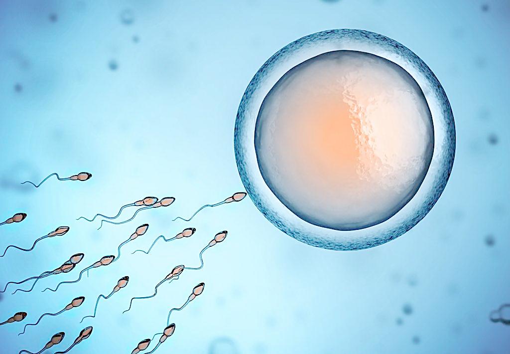 孕前男人吃什么提高精子质量