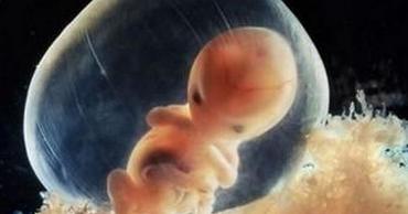胎儿停止发育怎么回事