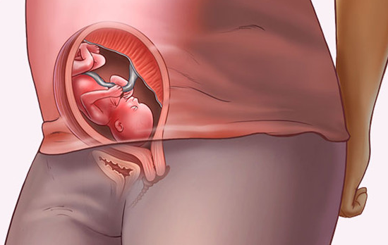 19周胎儿发育情况有哪些？