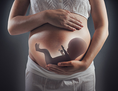 怀孕胎儿停止发育有什么症状