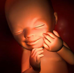 19周胎儿发育情况有哪些？