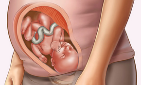 孕32周胎儿发育情况怎么样