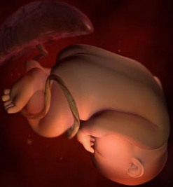 孕38周胎儿发育情况吗？