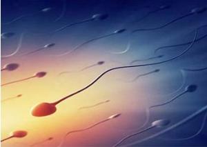 精子在体内是怎么运动的？