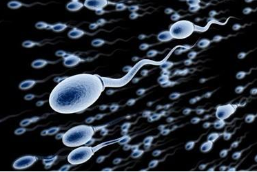 男人一生有多少精子