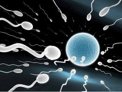 男人一生有多少精子