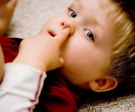 鼻子经常流鼻血是什么原因