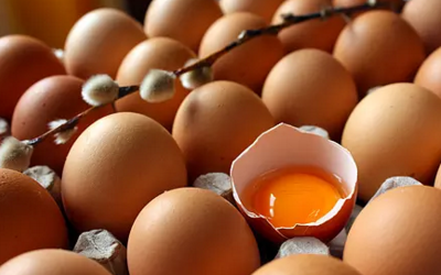 蛋黄有什么营养价值